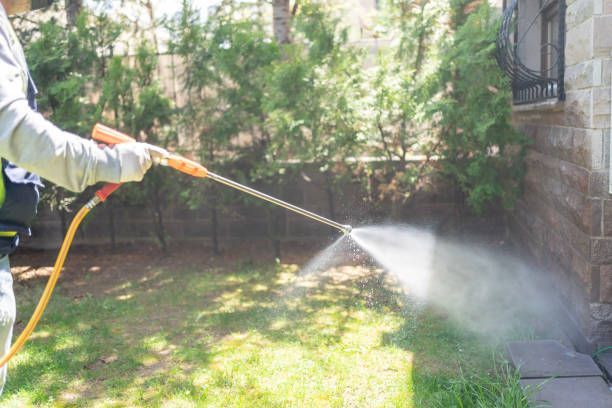 Best Best Pest Control Companies  in Temple Hills, MD